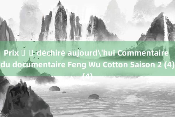 Prix ​​déchiré aujourd'hui Commentaire du documentaire Feng Wu Cotton Saison 2 (4)