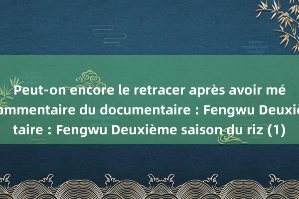 Peut-on encore le retracer après avoir mélangé des pièces ? Commentaire du documentaire : Fengwu Deuxième saison du riz (1)